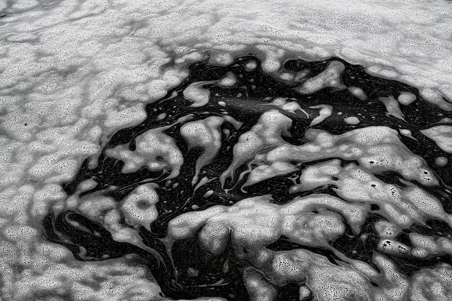 Foam Patterns - Potomac River