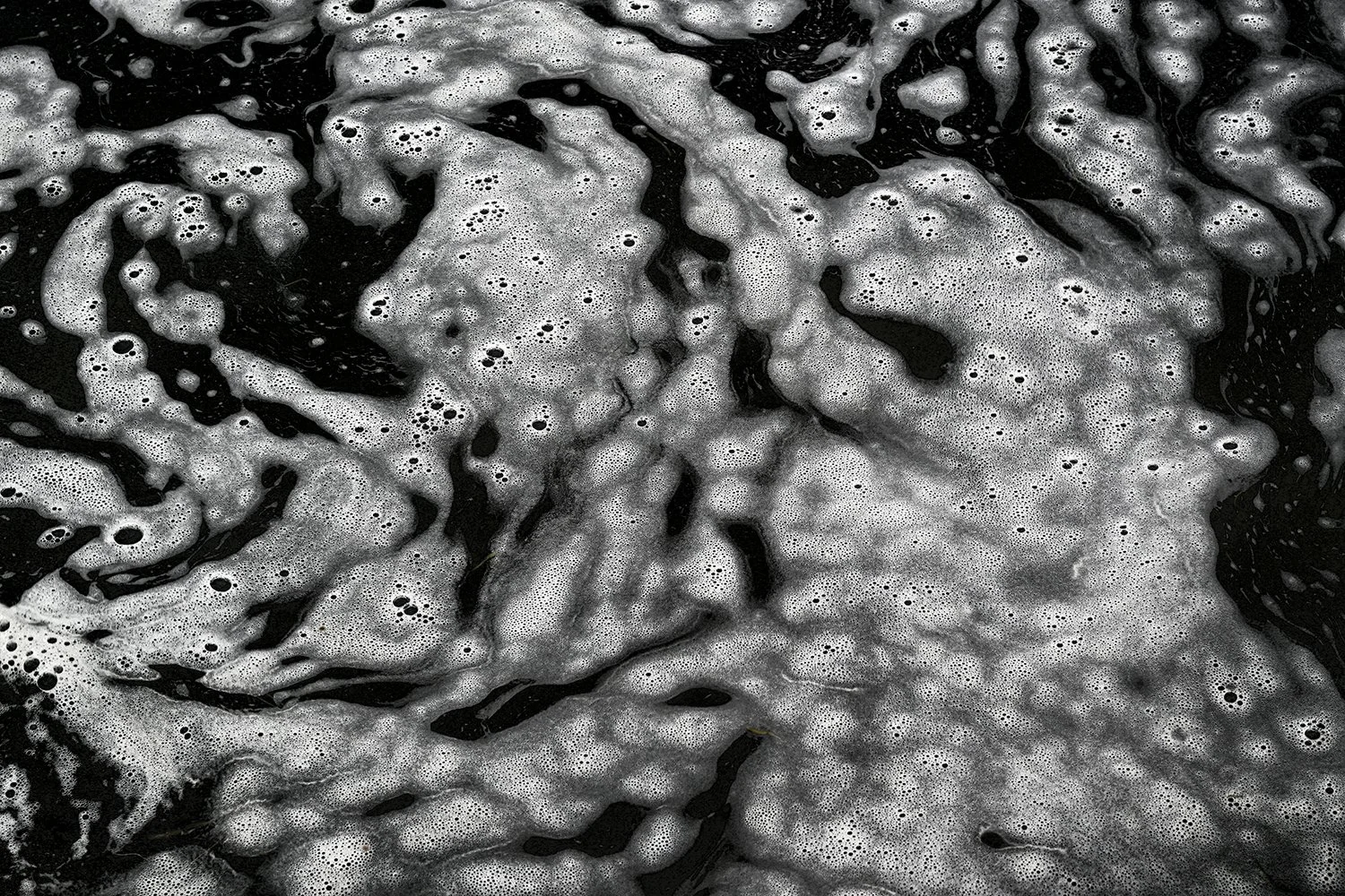 Foam Patterns - Potomac River