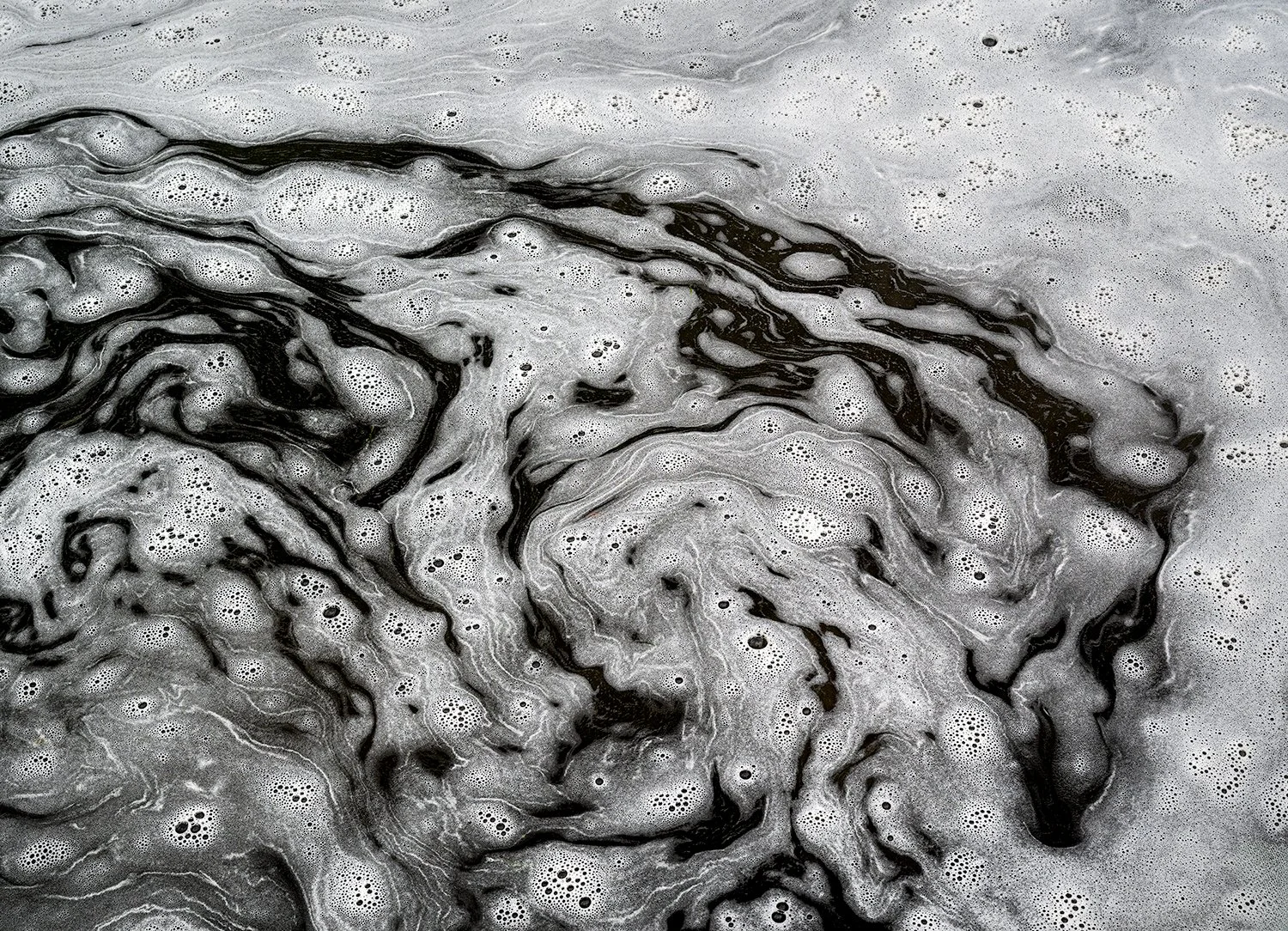 Foam Patterns - Potomac River