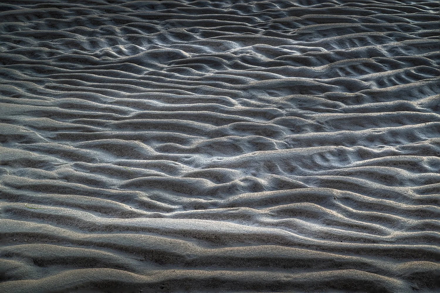 Sandy Neck Beach, Cape Cod, MA