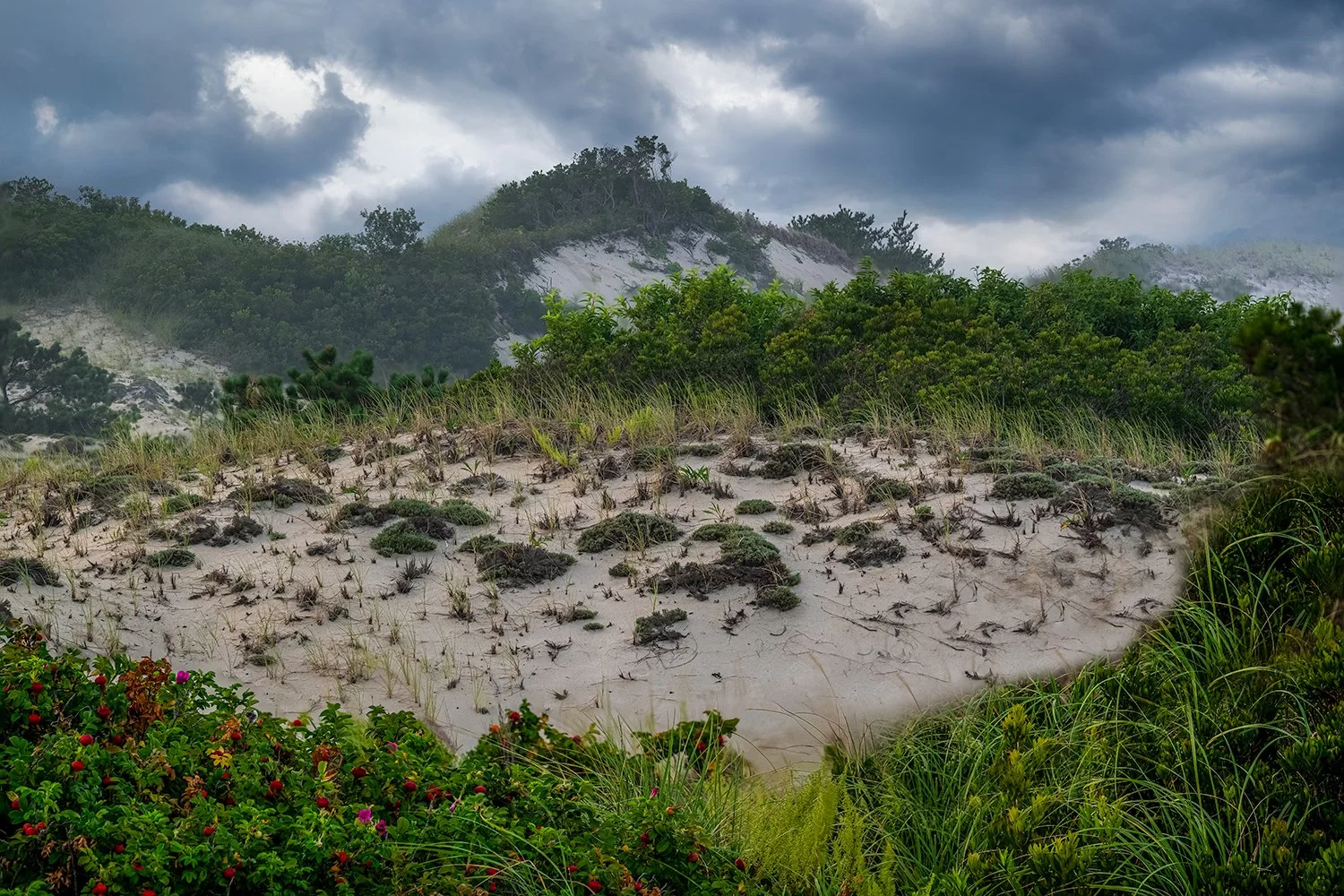 Sandy Neck Beach, Cape Cod, MA