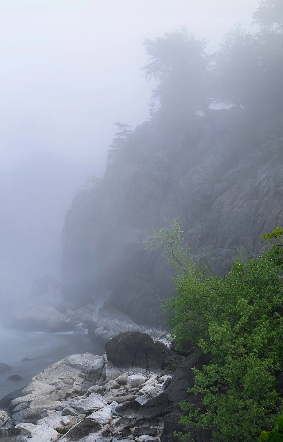 Spring Fog, Great Falls Natl. Park, MD