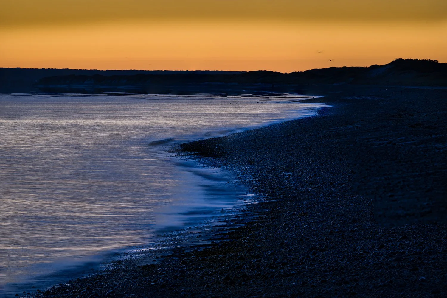 Sandy Neck Beach, Cape Cod, MA