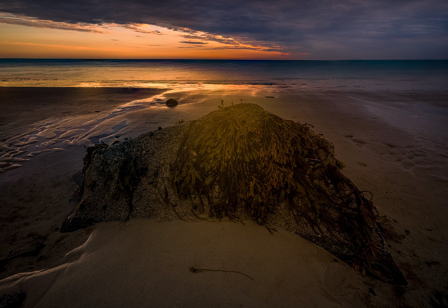 Corporation Beach, Cape Cod, MA