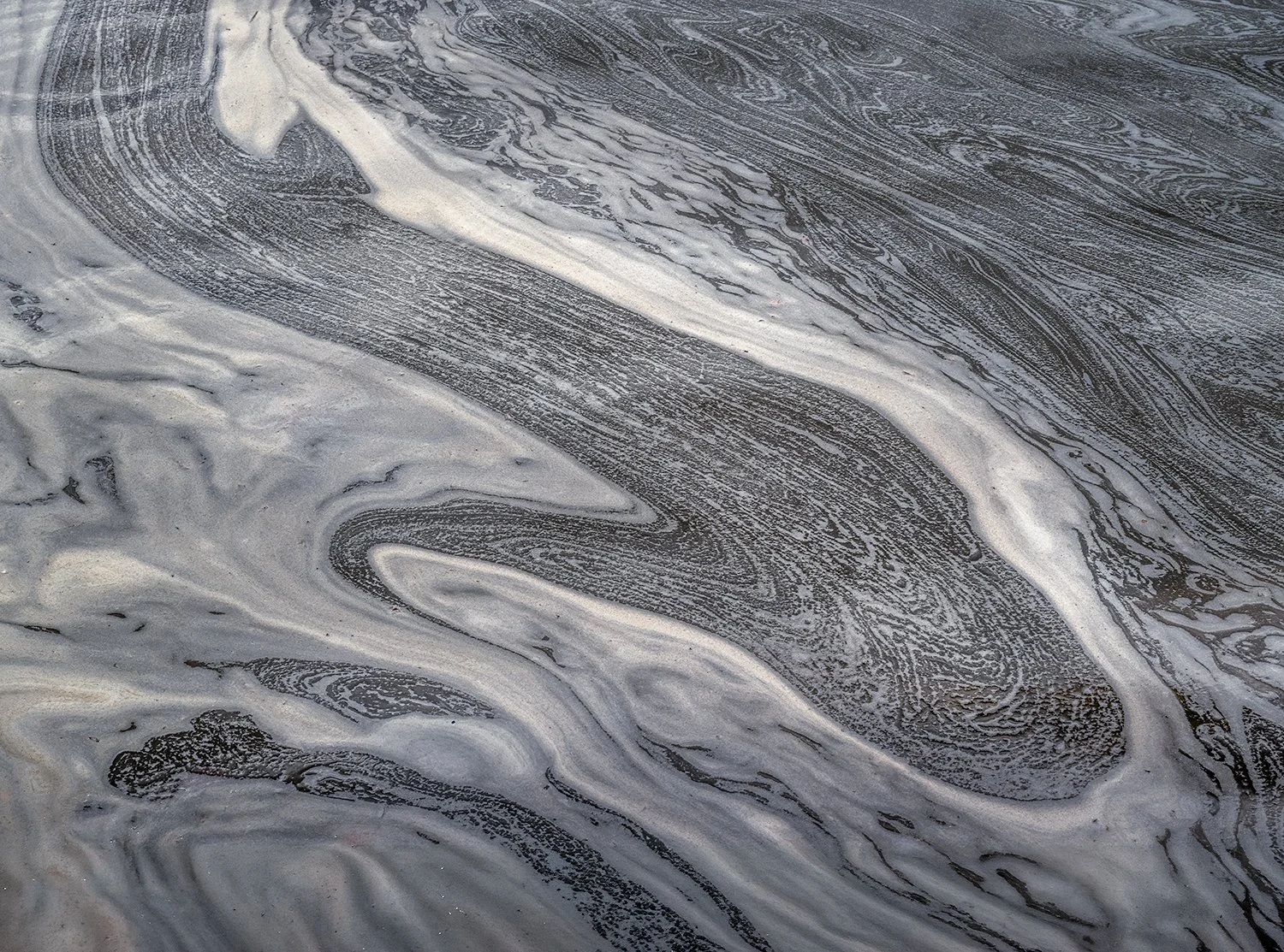 Foam Patterns - Potomac River