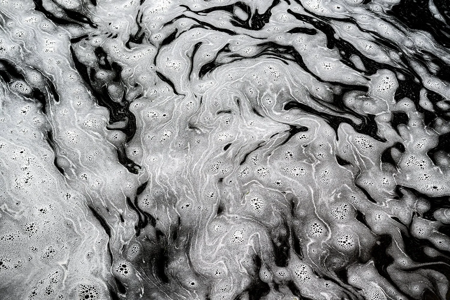 Foam Patterns - Potomac River