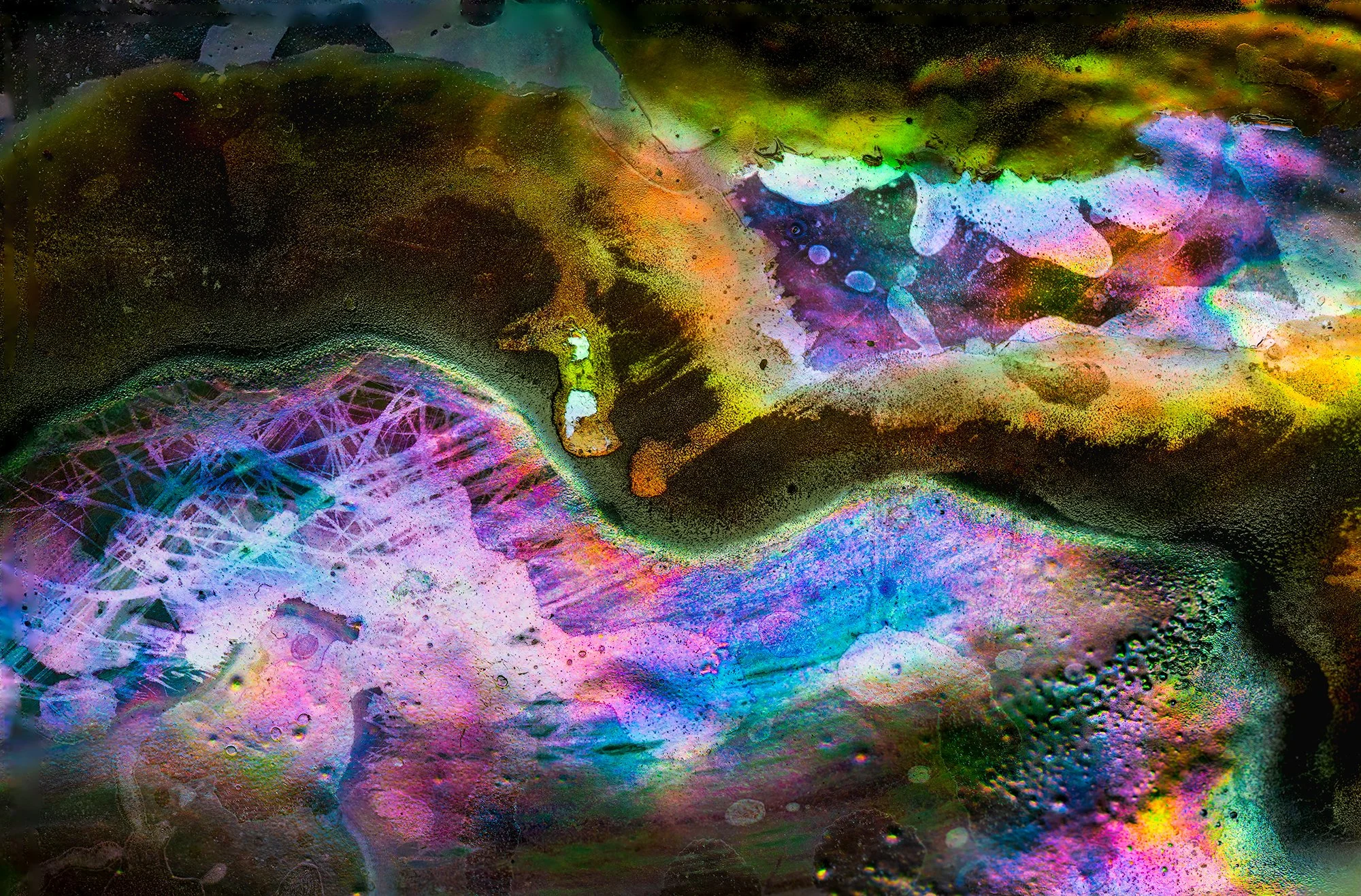 Abalone Shell
