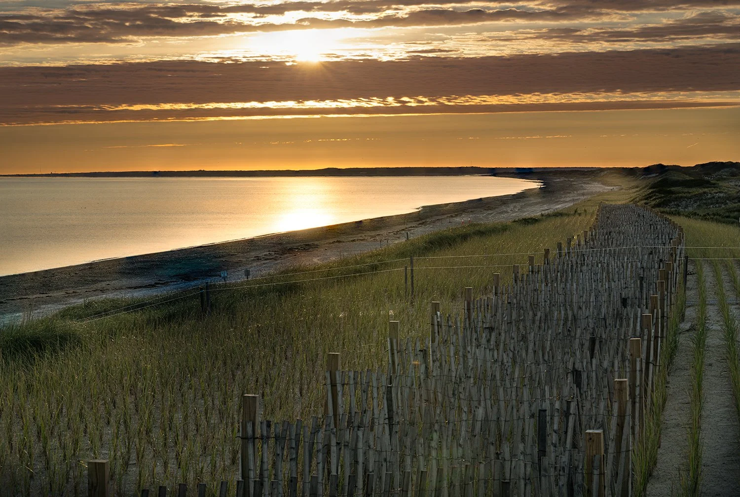 Sandy Neck Beach, Cape Cod, MA