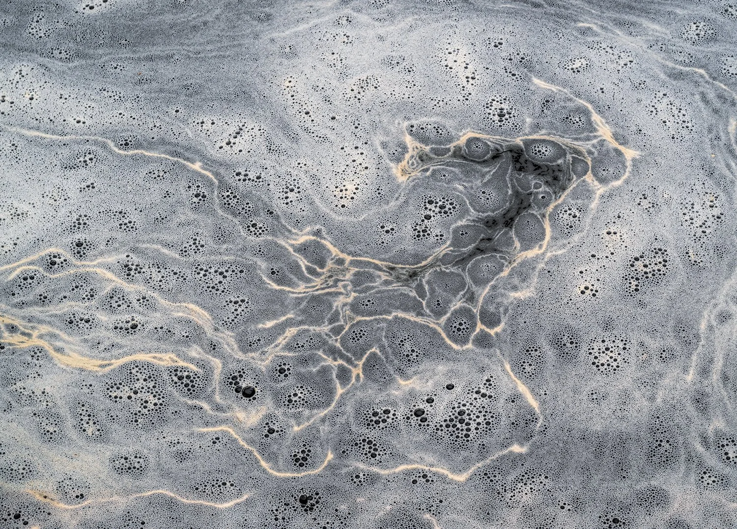Foam Patterns - Potomac River