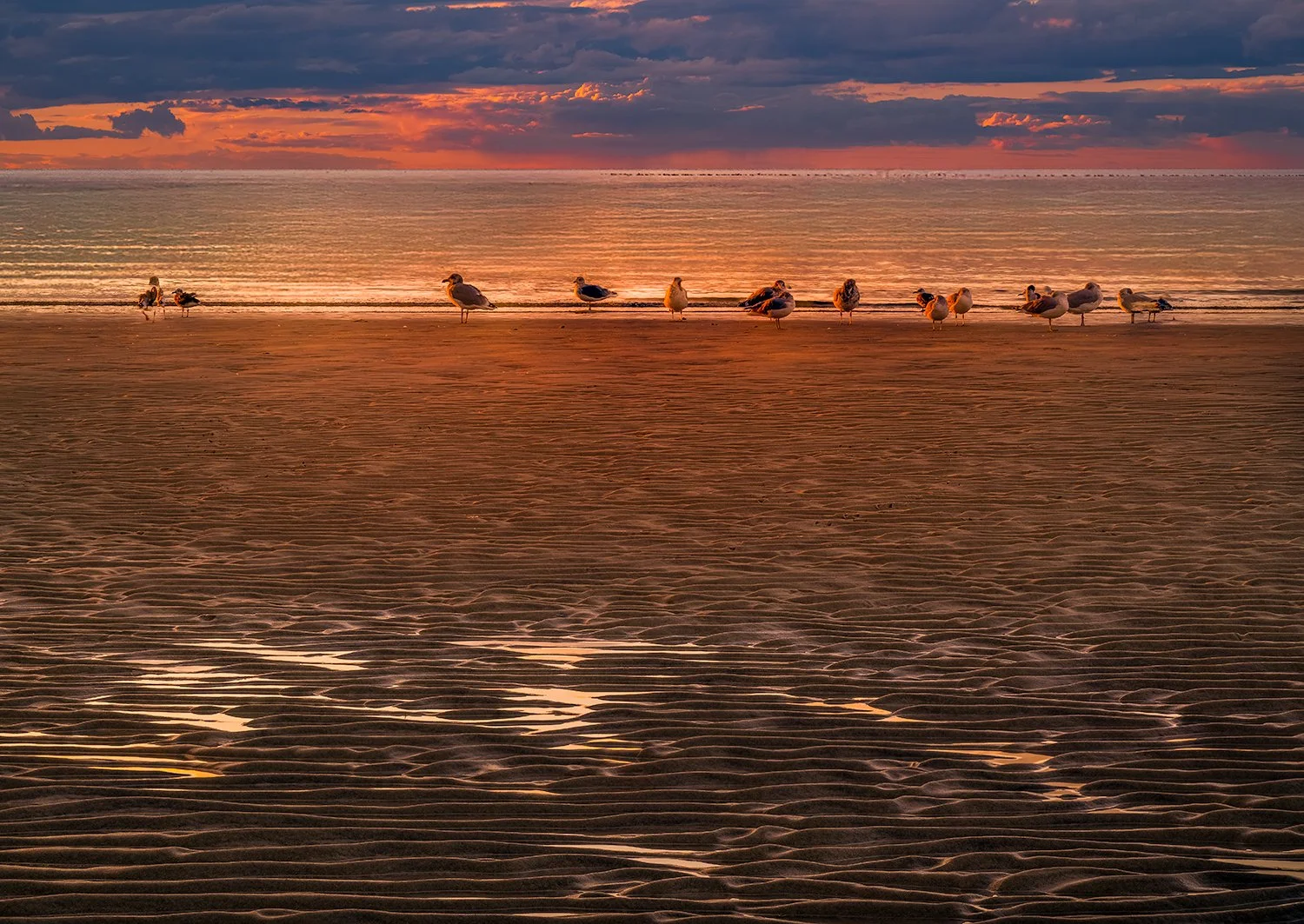 Skaket Beach, Cape Cod, MA