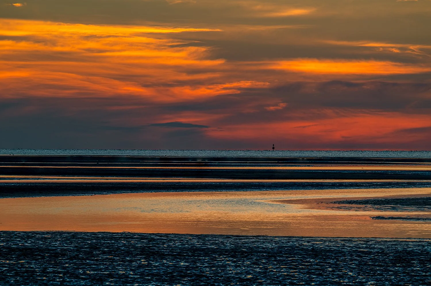 Sandy Neck Beach, Cape Cod, MA