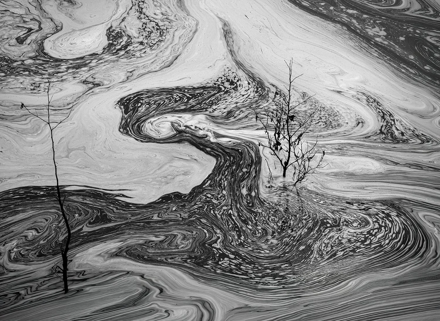 Foam Patterns - Potomac River