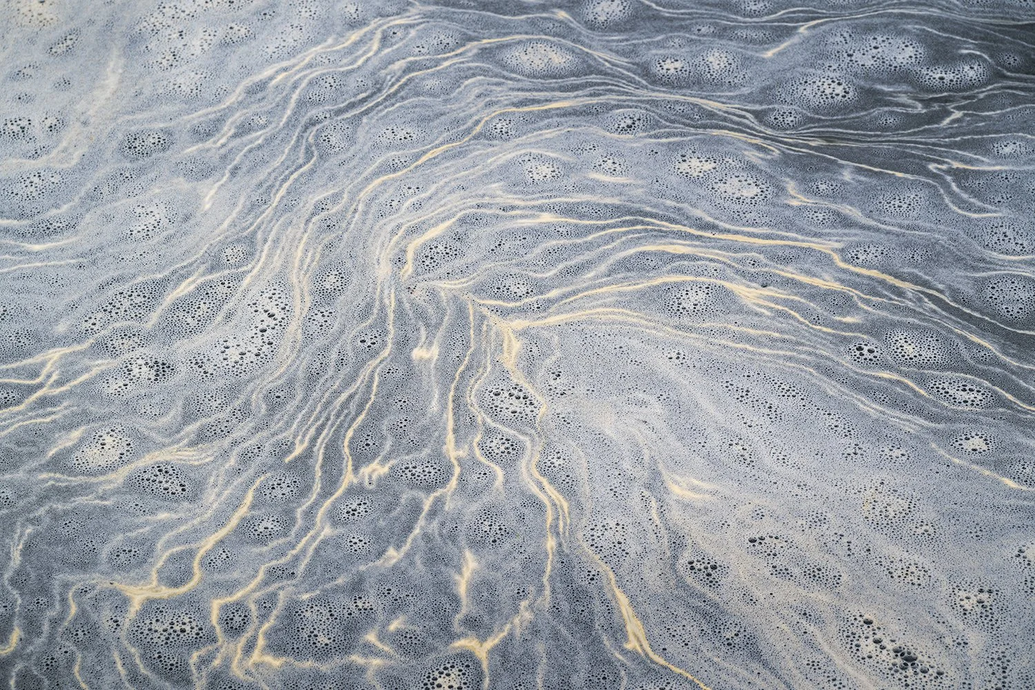 Foam Patterns - Potomac River