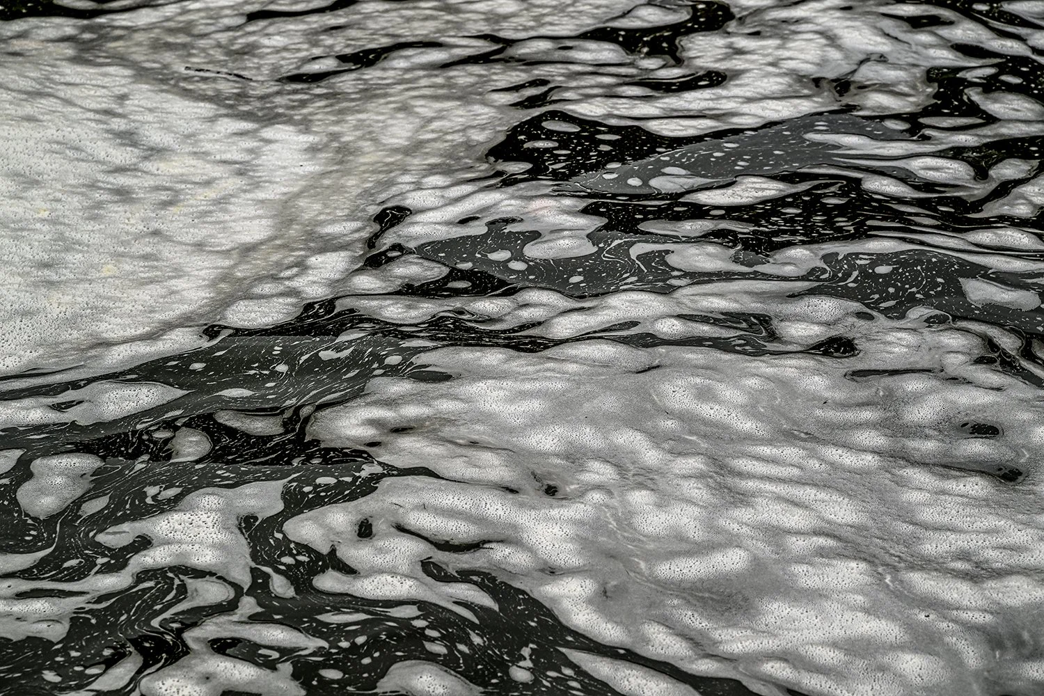 Foam Patterns - Potomac River