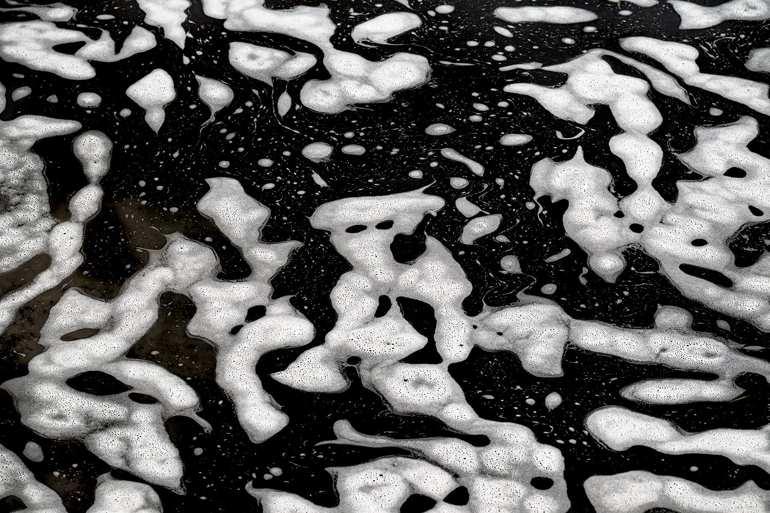 Foam Patterns - Potomac River
