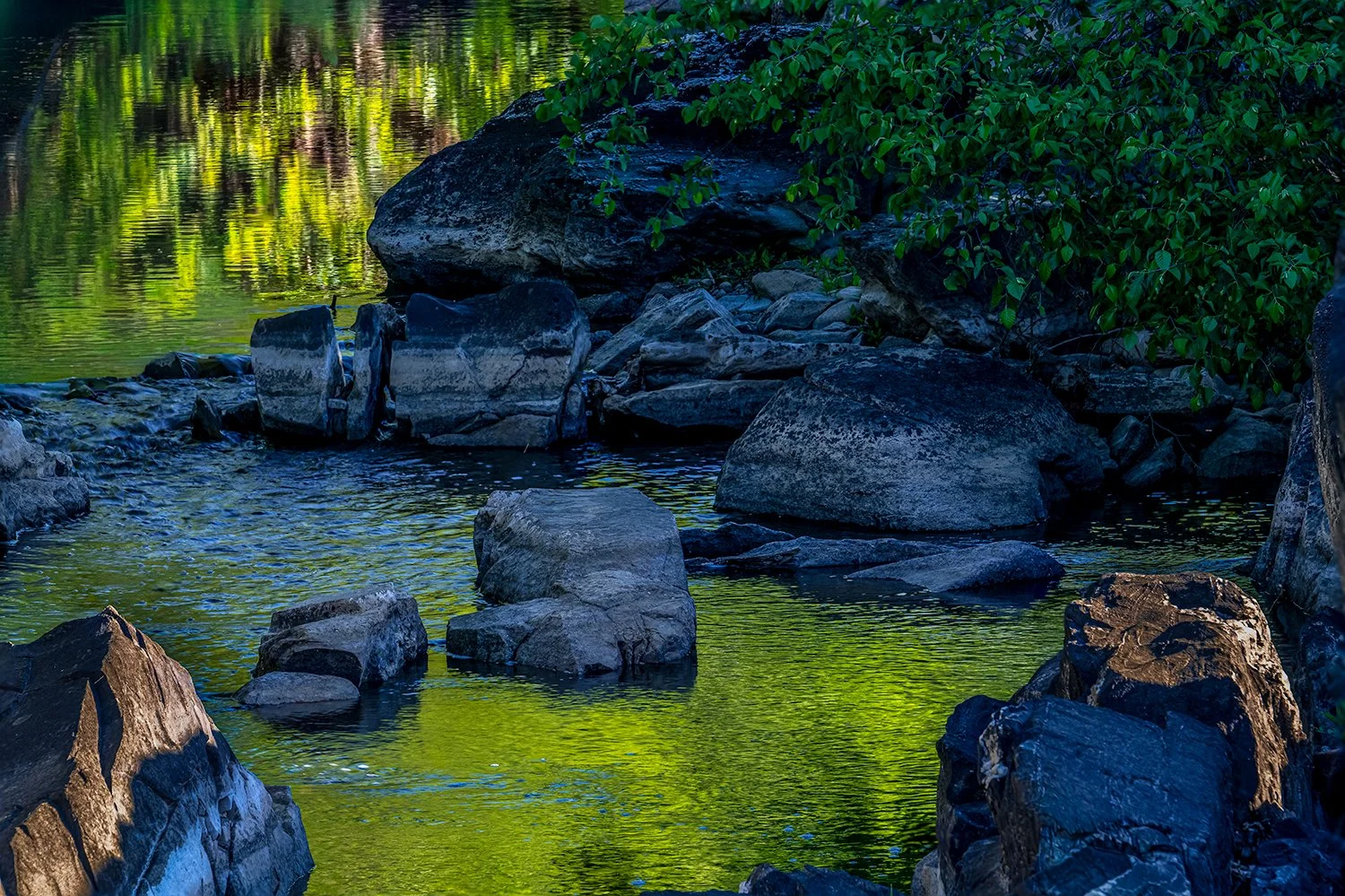 Spring Reflections, Great Falls Natl. Park, MD