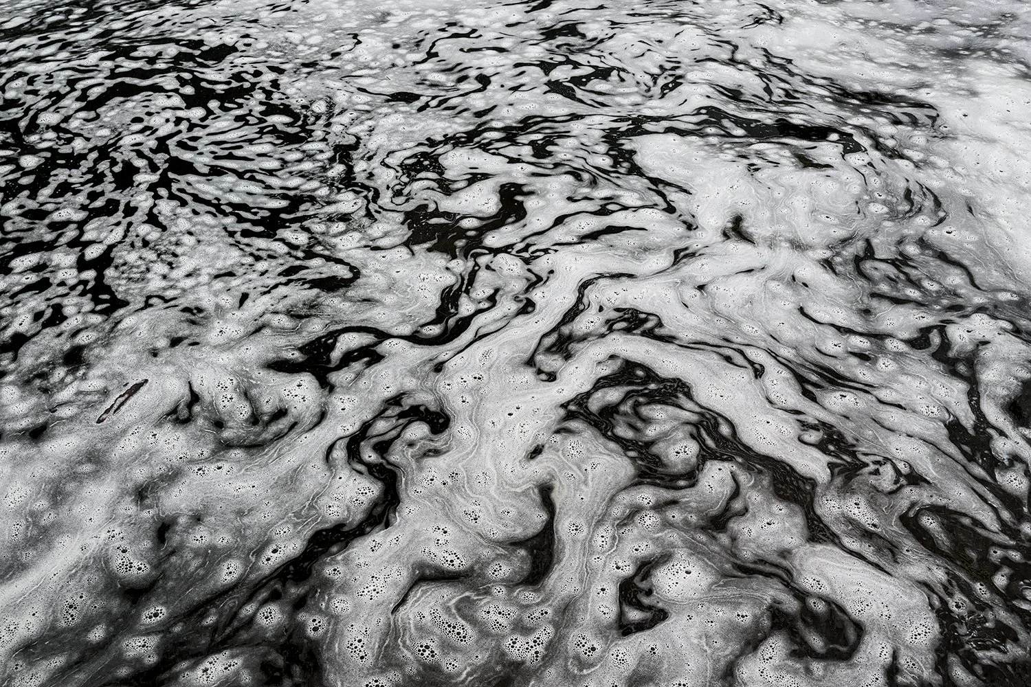 Foam Patterns - Potomac River