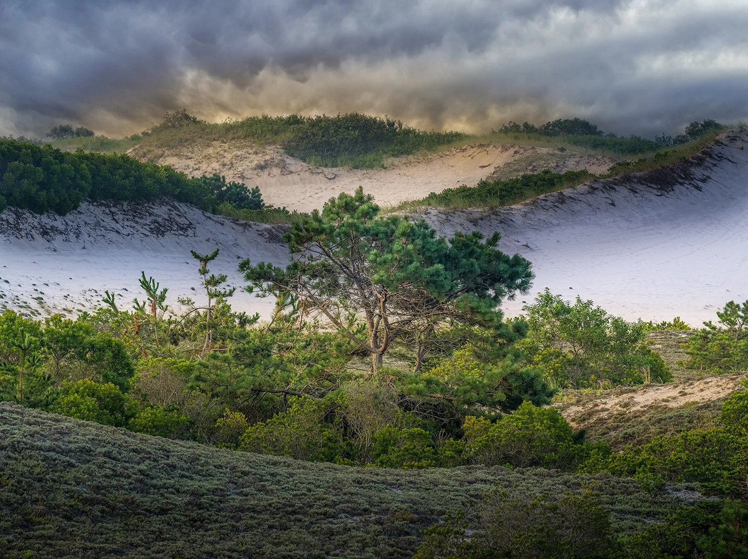 Sandy Neck Beach, Cape Cod, MA