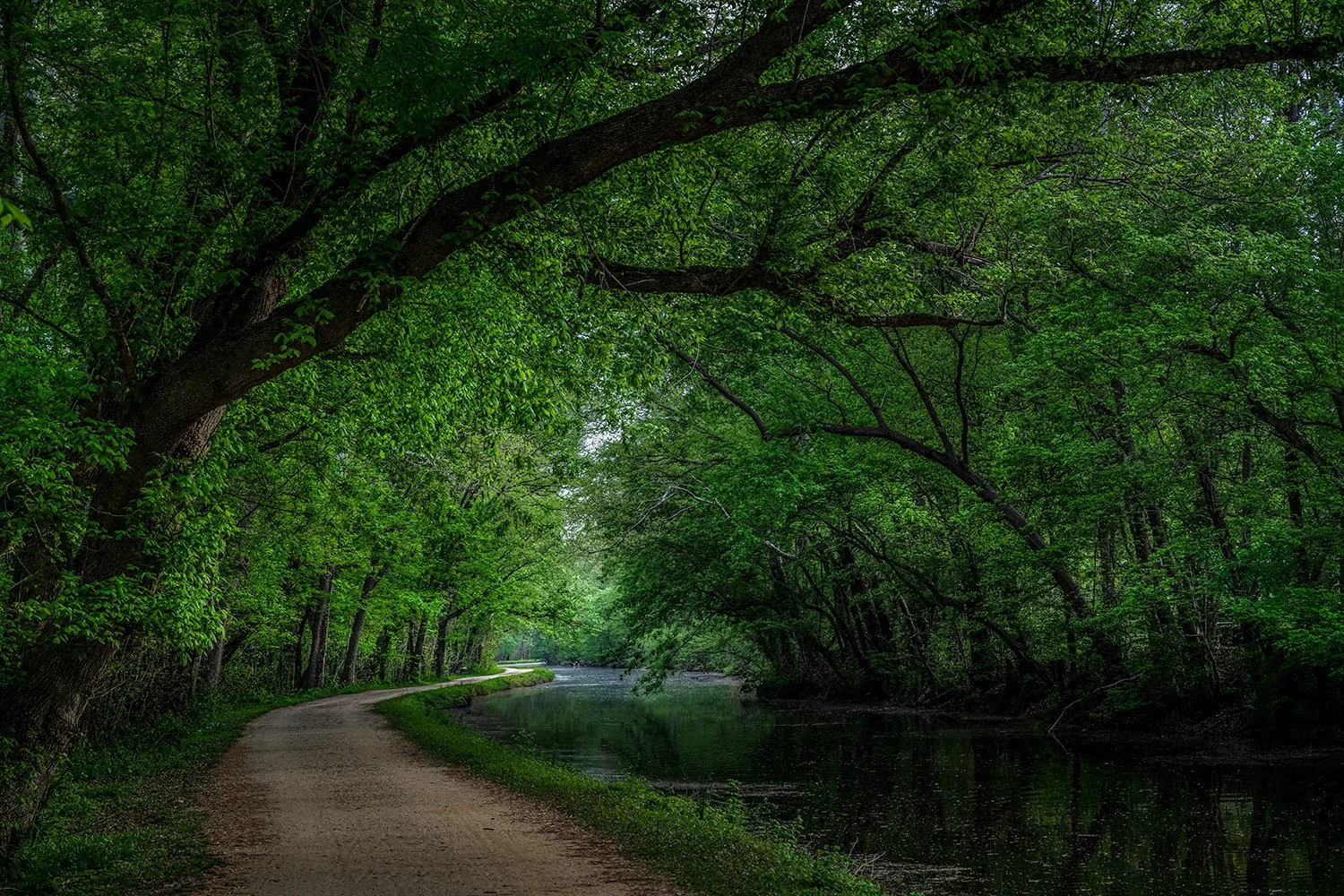 Canal Towpath near Great Falls, Potomac, MD
