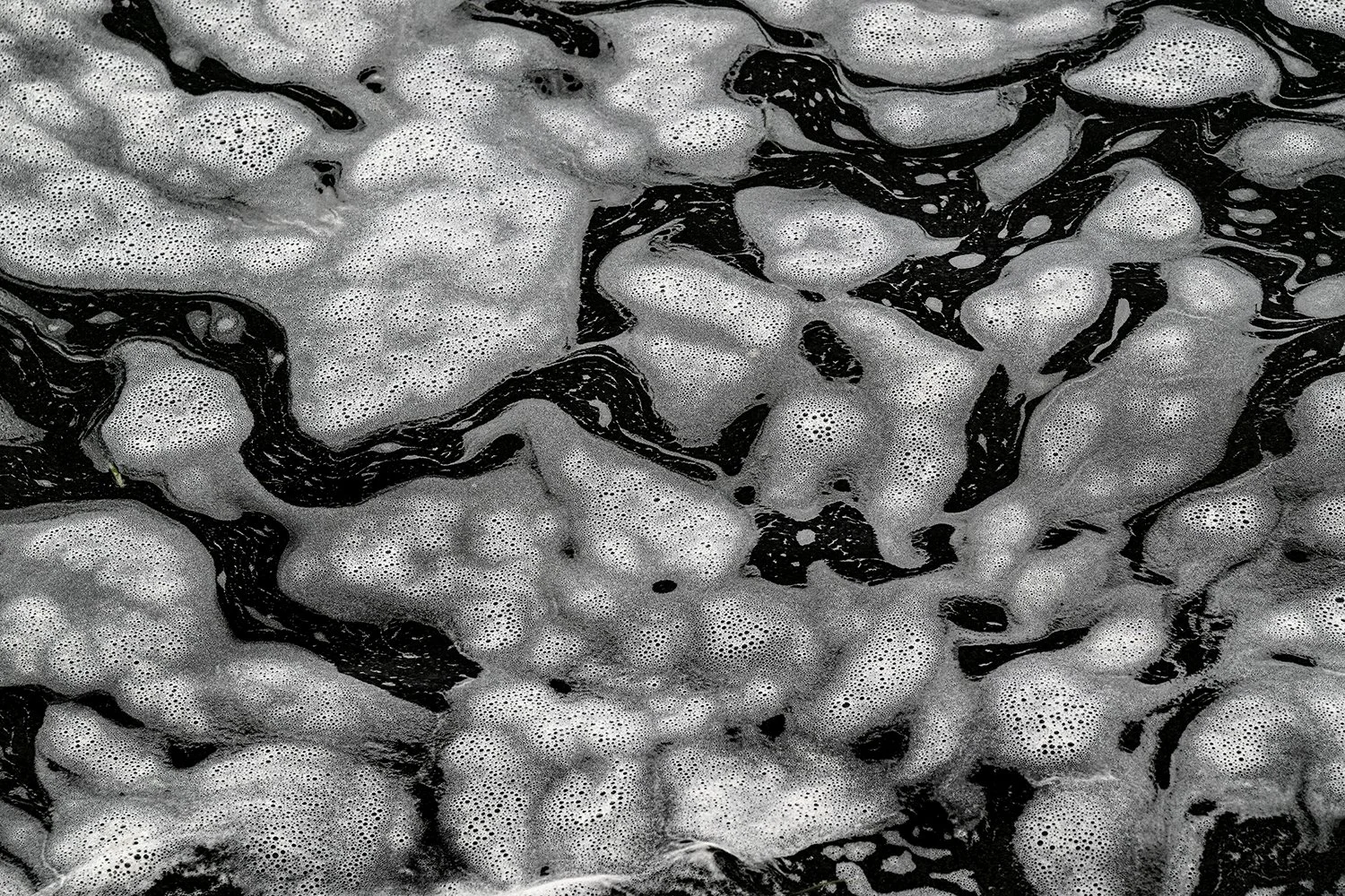 Foam Patterns - Potomac River