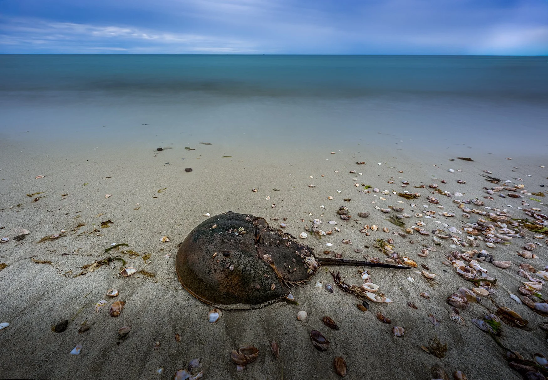 Craigville Beach, Cape Cod, MA