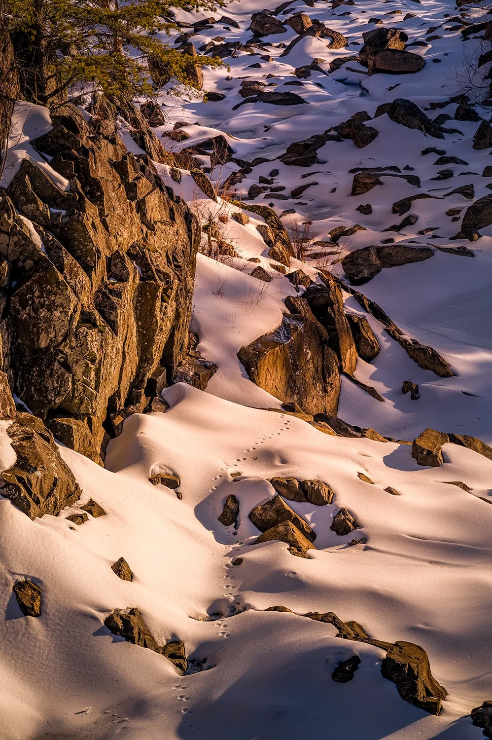 Animal Tracks at Sunset, Great Falls, MD