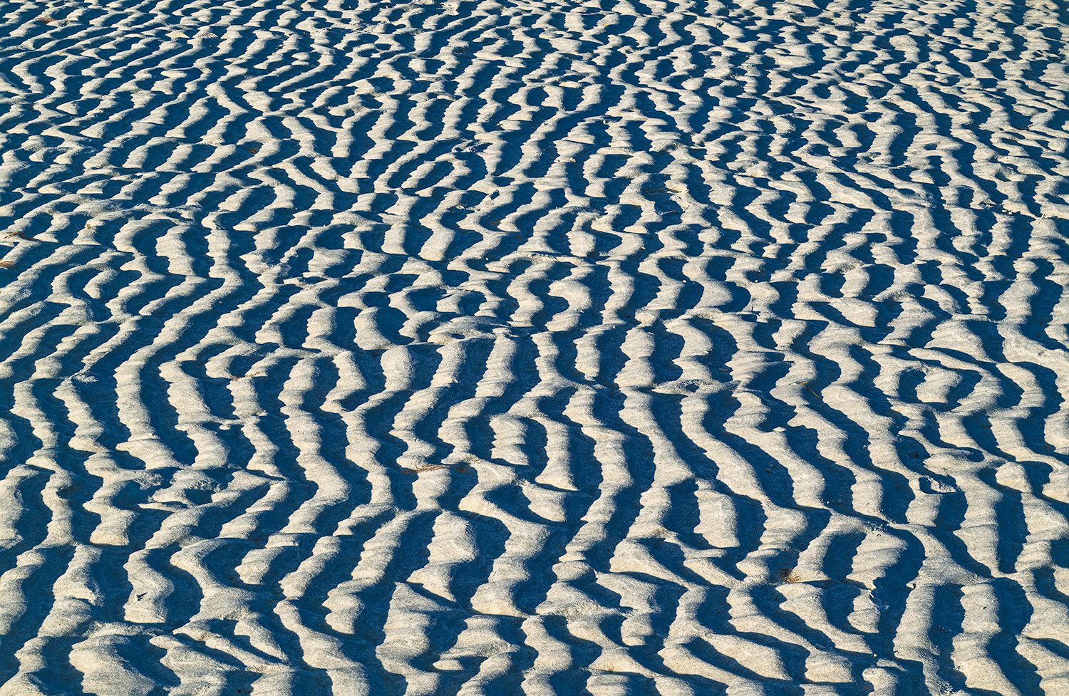 Sandy Neck Beach, Cape Cod, MA