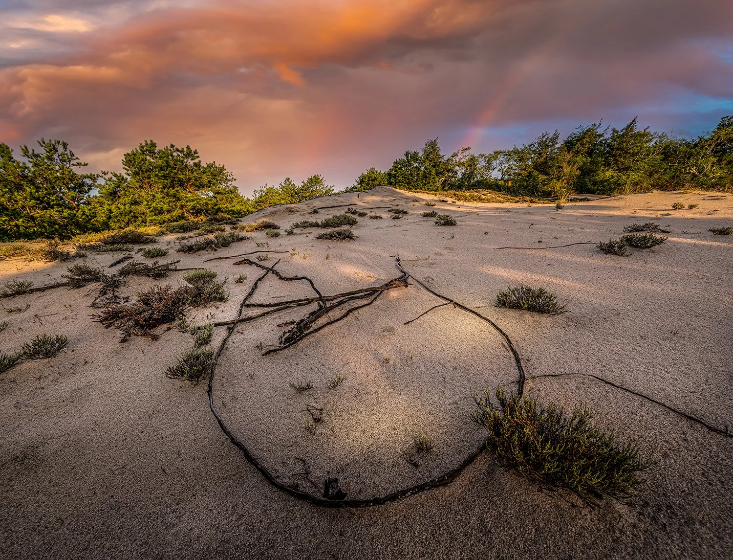 Sandy Neck Beach, Cape Cod, MA
