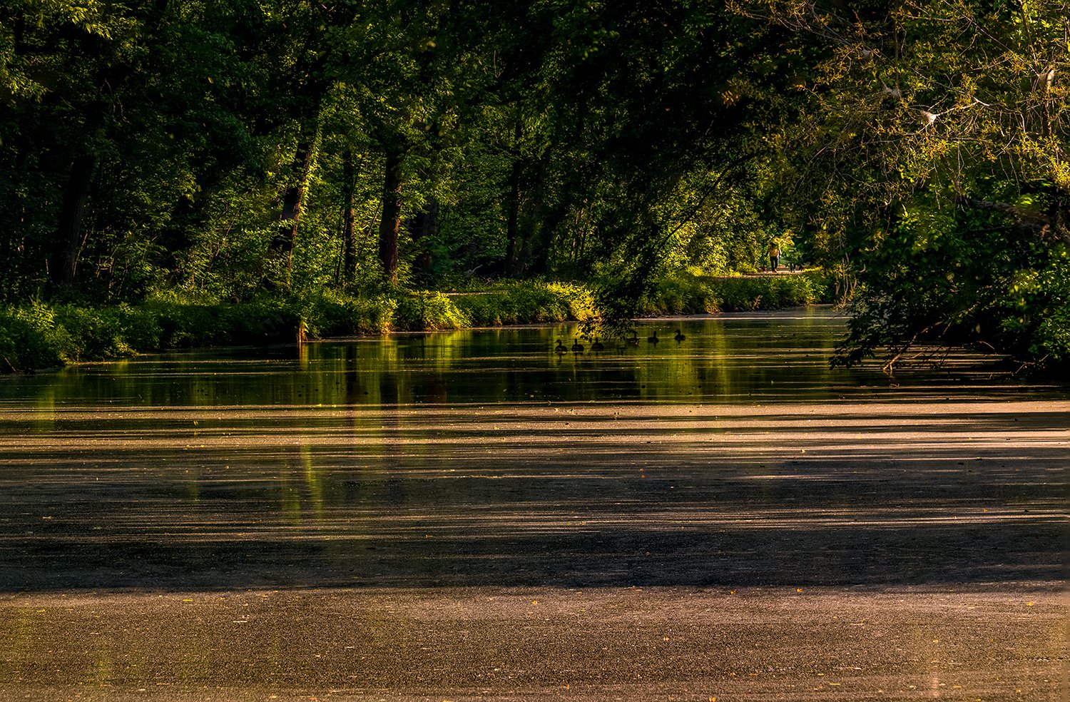 Towpath and Canal, Great Falls, VA