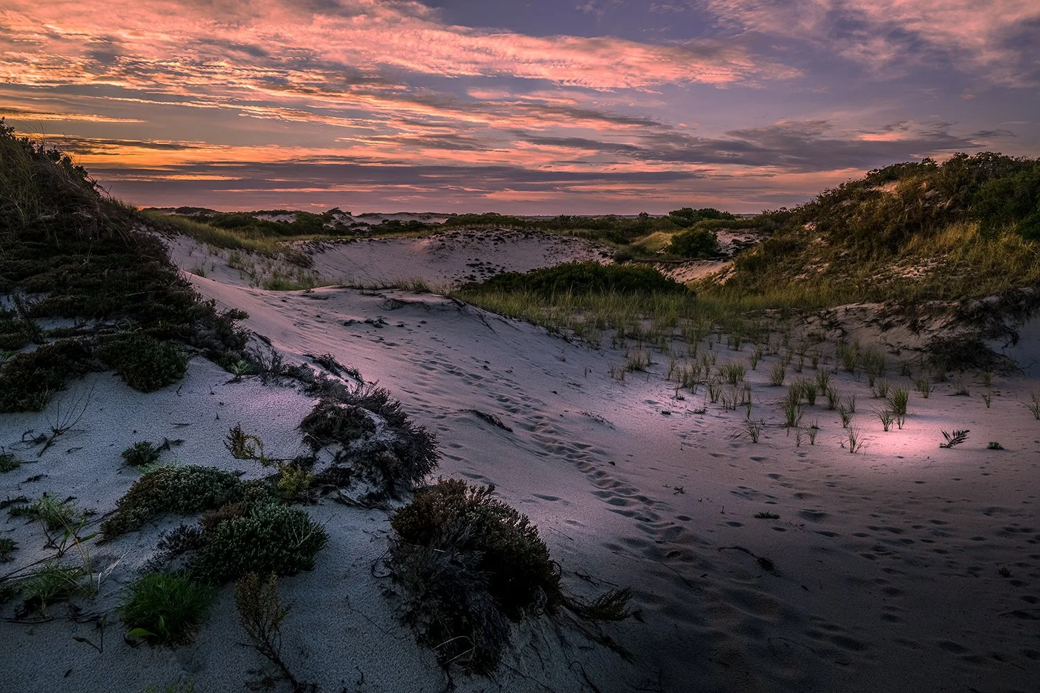 Sandy Neck Beach Dunes, MA