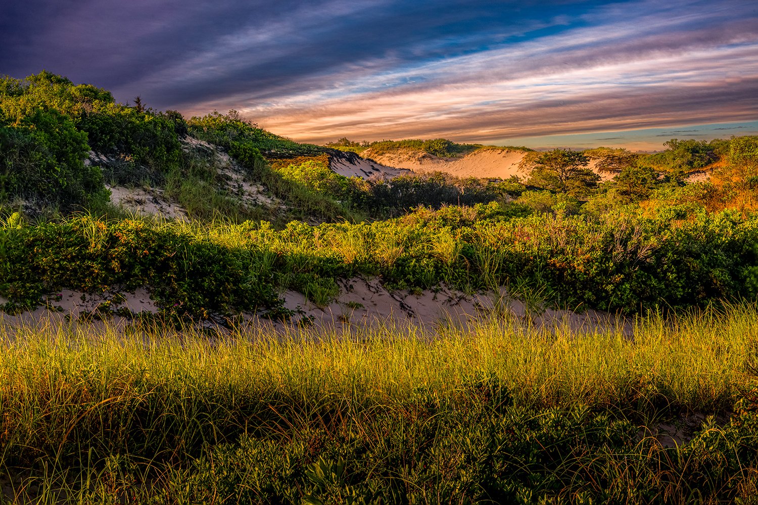 Sandy Neck Beach, Cape Cod, MA