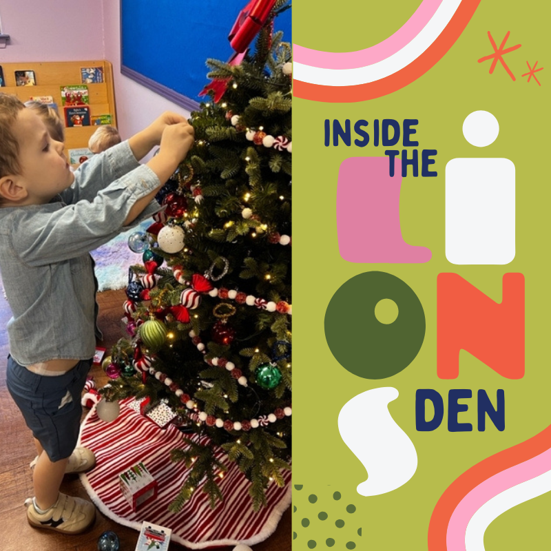 Cub Chronicles: December 5th