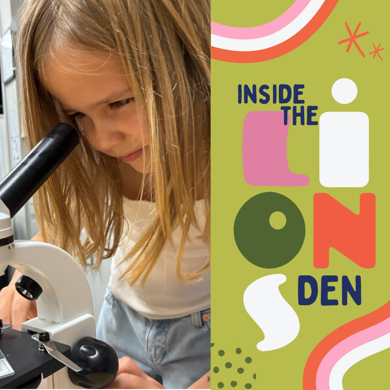 Cub Chronicles: January 23rd