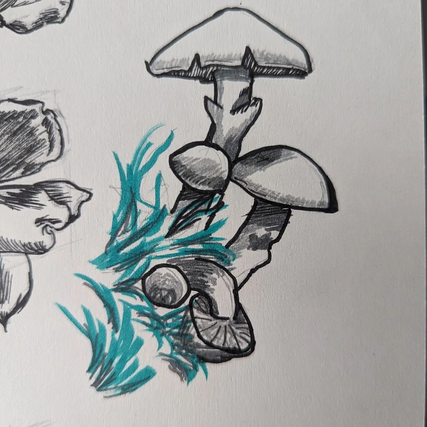 Hi! I went on spring break which is why I have been gone for a bit. Also I've been mostly sketching-- don't have much to post atm. I'm rough sketching the first episode of Under Mountains right now. Have some mushrooms 🍄😋

#illustration #mushrooms 