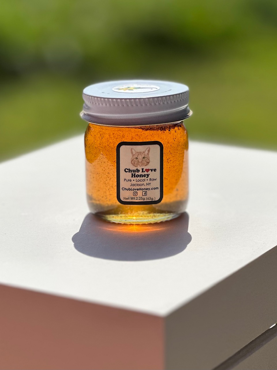 Vanilla Bean sample NEW.png
