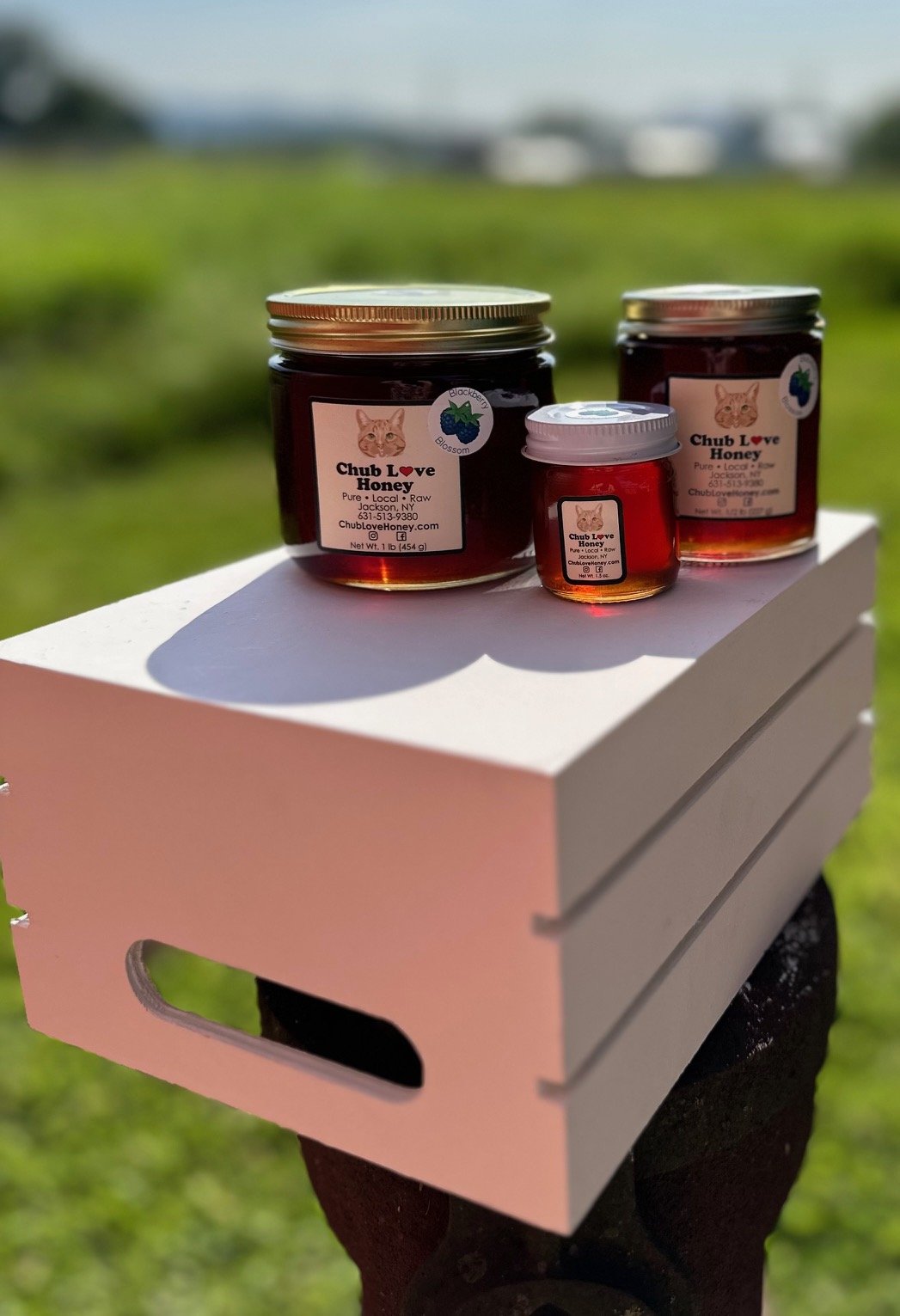 Blackberry Blossom Honey