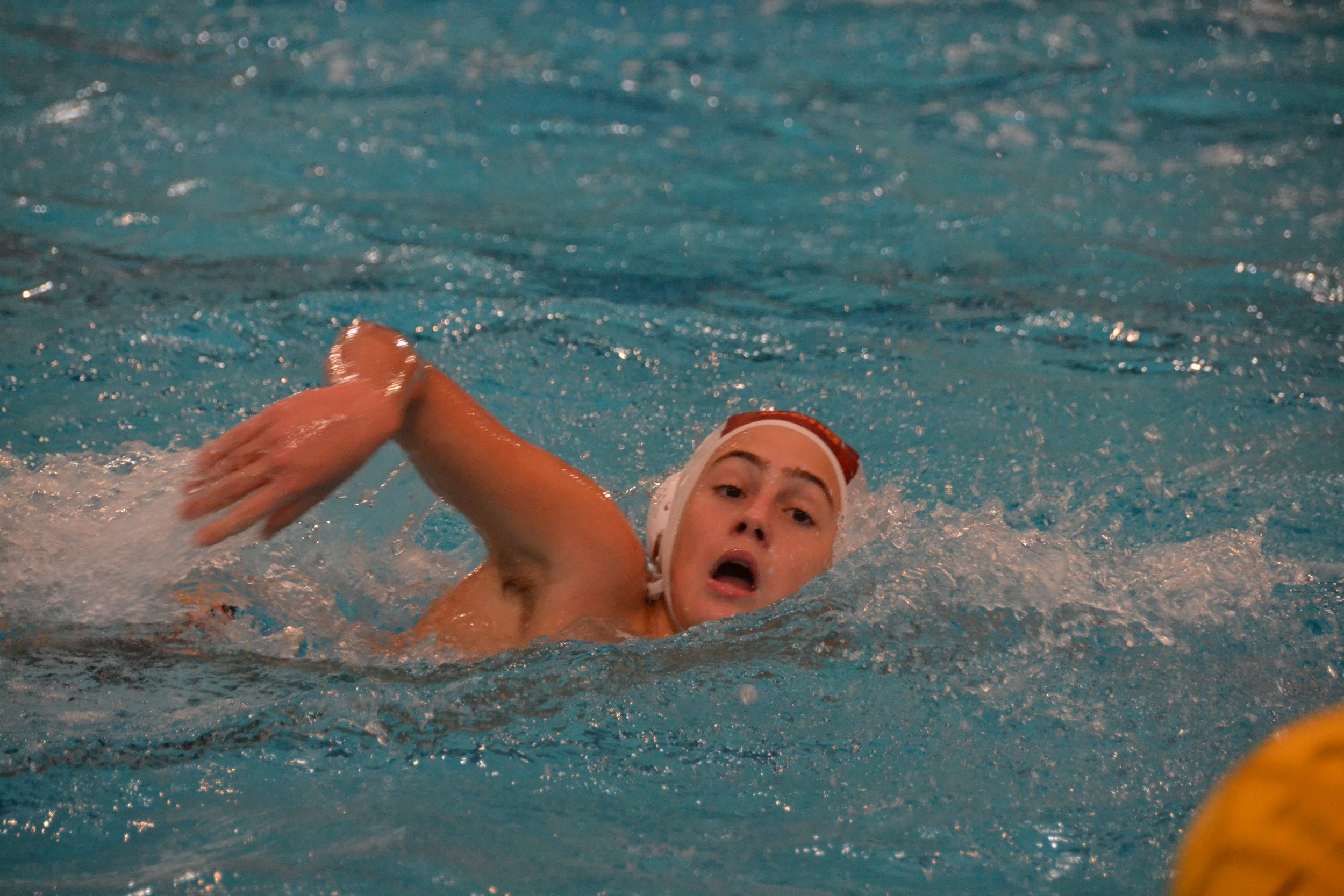 Ultimo weekend dell’anno in vasca per la Roma Nuoto