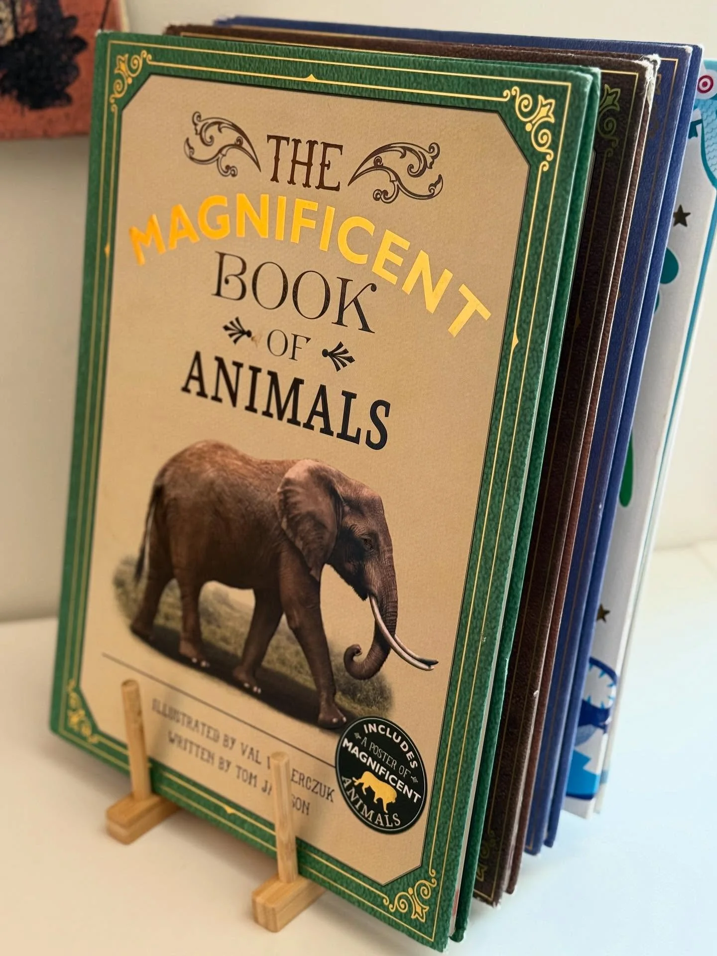 Yep that&rsquo;s a pot lid divider! Cutest big book display I&rsquo;ve ever seen! 
Can also be a letter sorter, a clutch divider&hellip;these things literally wake me up happy. I know that feels sad&hellip;but it sure helps stay creative! We speak in