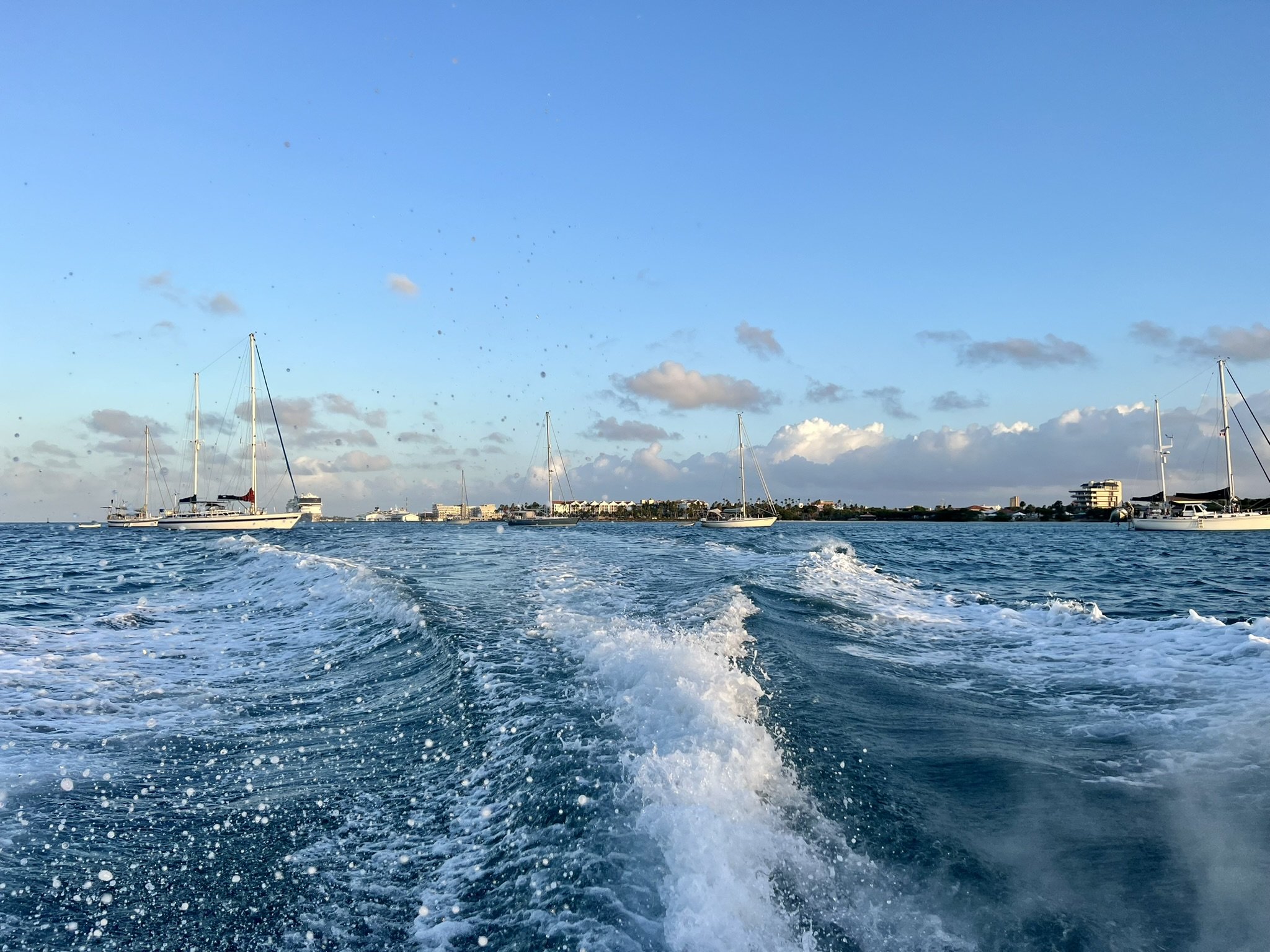 Aruba © Vanessa Gomez