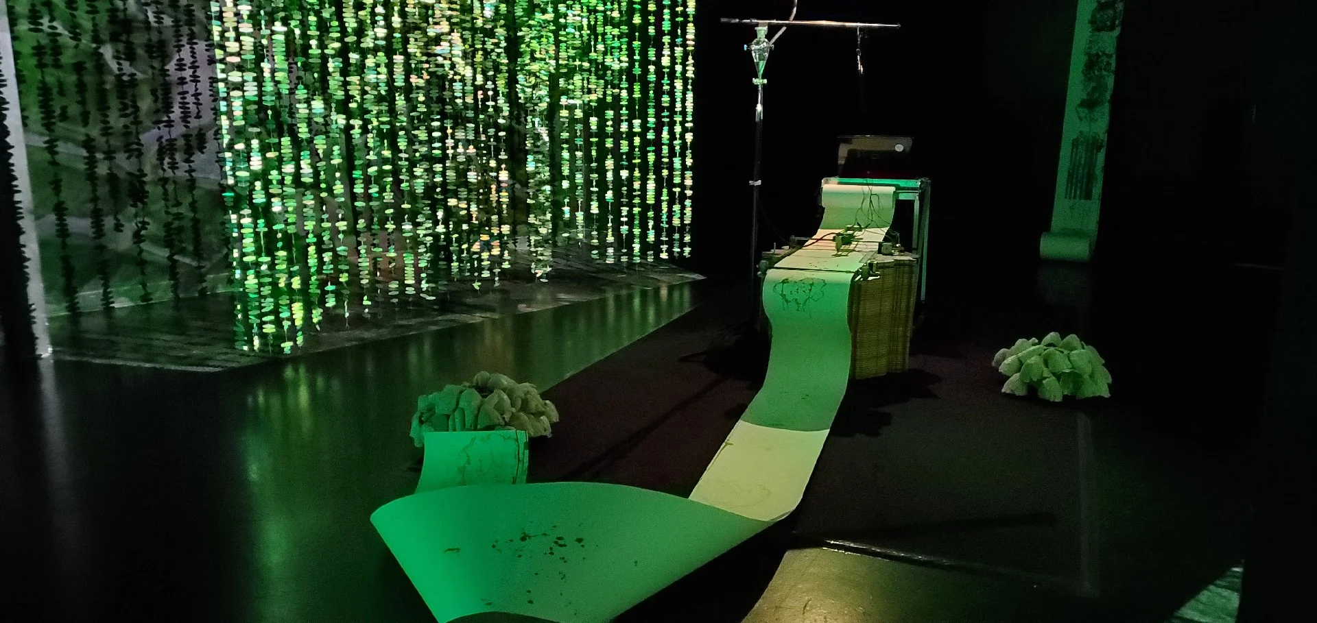 Documentation image of Arboreal Intuitions. An installation featureing a robotic drawing machine, sound, and video