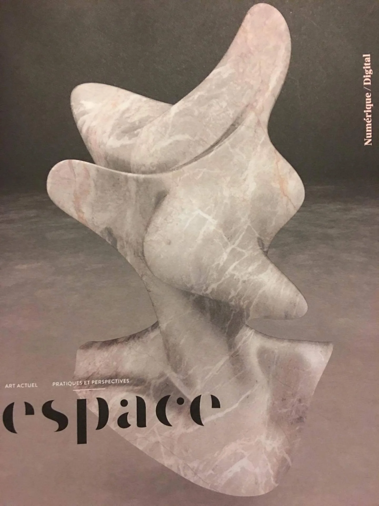 Cover page for the magazine Espace art actuel. A marble sculpture with a textured, veined surface.