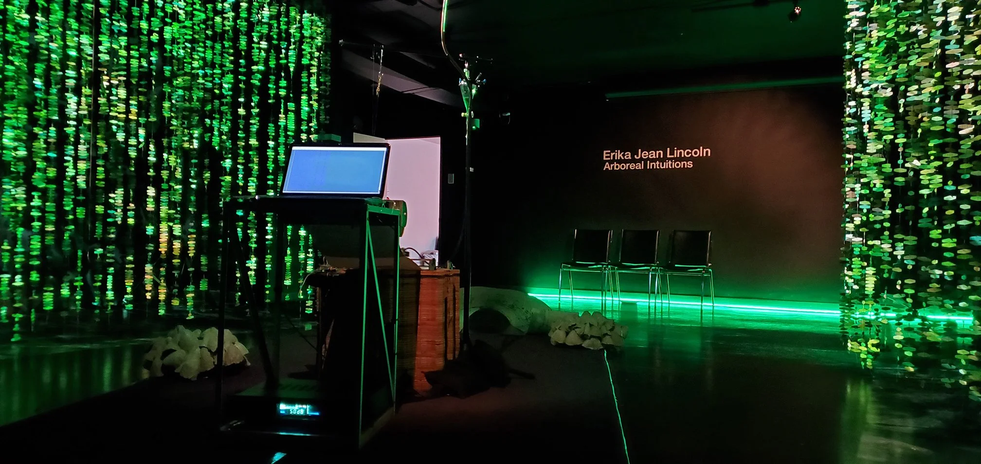 Documentation image of Arboreal Intuitions. View from control computer showing wall text reading Erika Jean Lincoln Arboreal Intuitions.