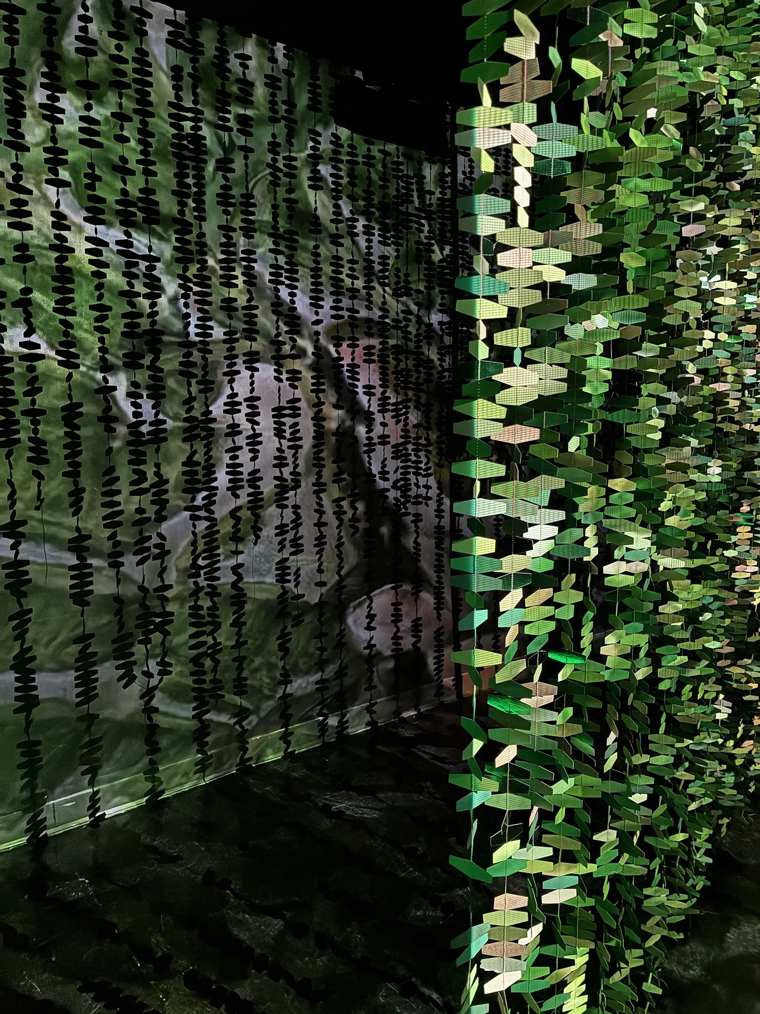 Arboreal Intuitions installation. Close up of video projections.