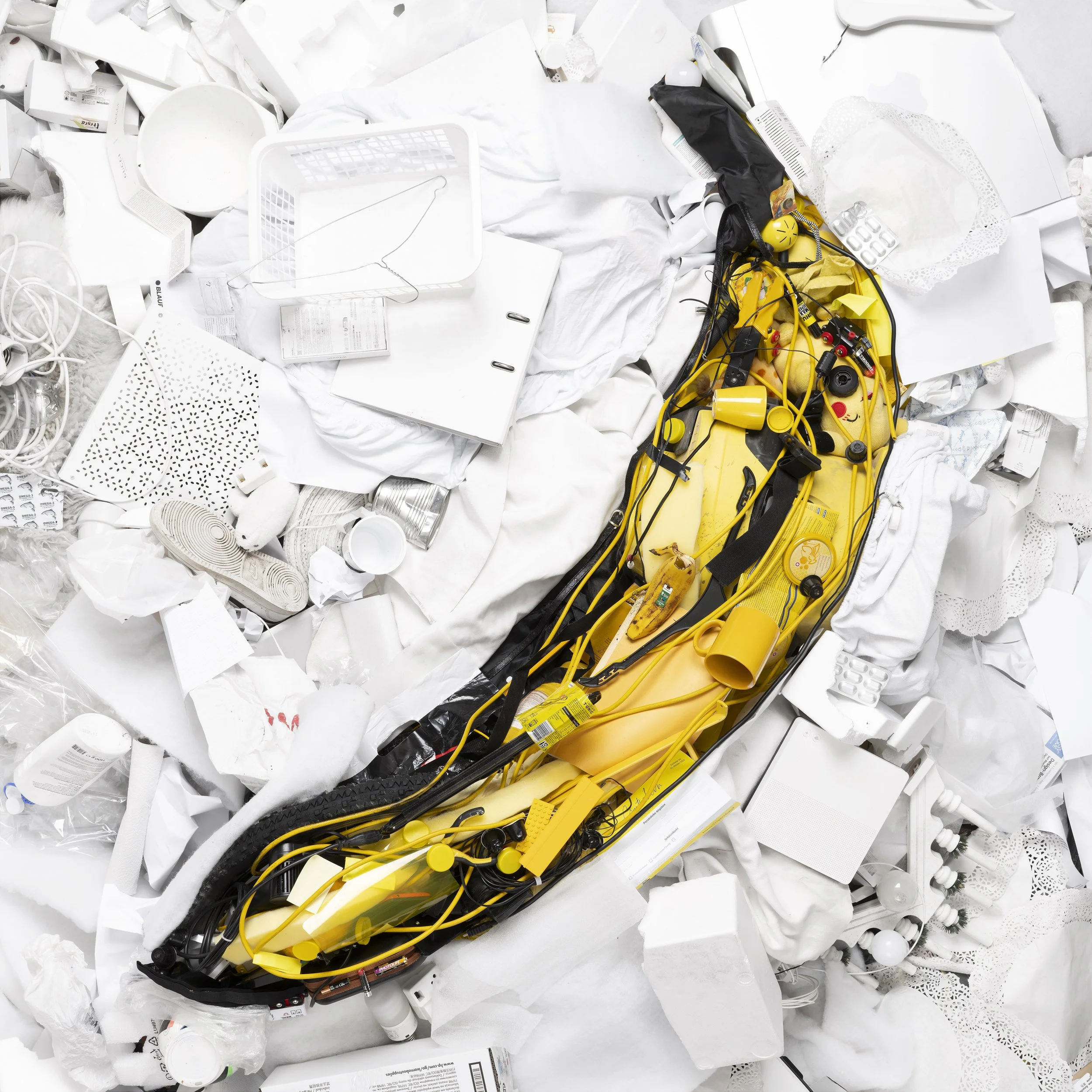 warhol-337-Enhanced-SR copie.jpg