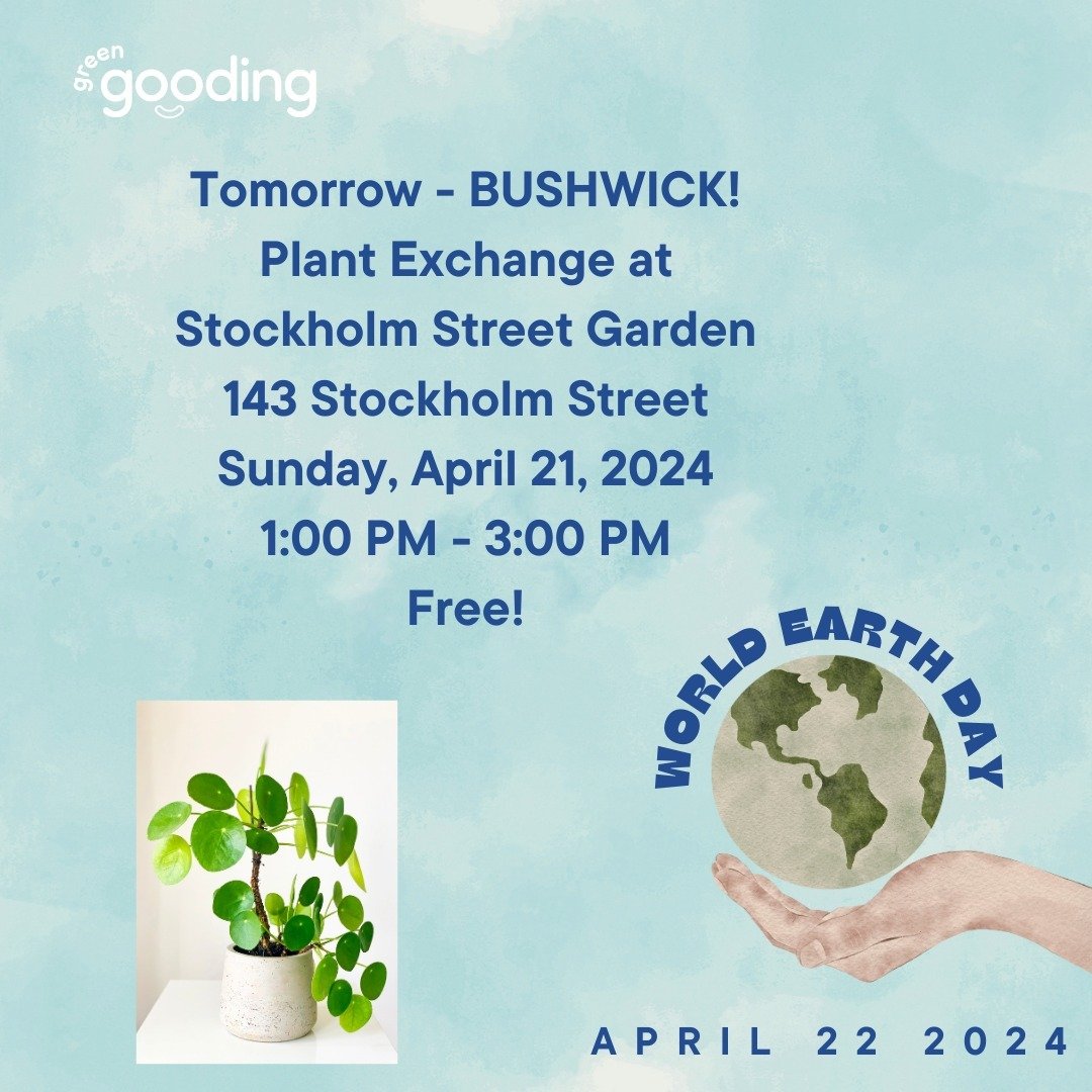 🌍️Local Earth Day Event! Tomorrow - BUSHWICK! Plant Exchange at Stockholm Street Garden (143 Stockholm Street)1:00 PM - 3:00 PM⁠
Free!⁠
⁠
⁠
#earthday #earthday2024 #sustainable #circular #events #community #gather #bushwick #brooklyn #nyc