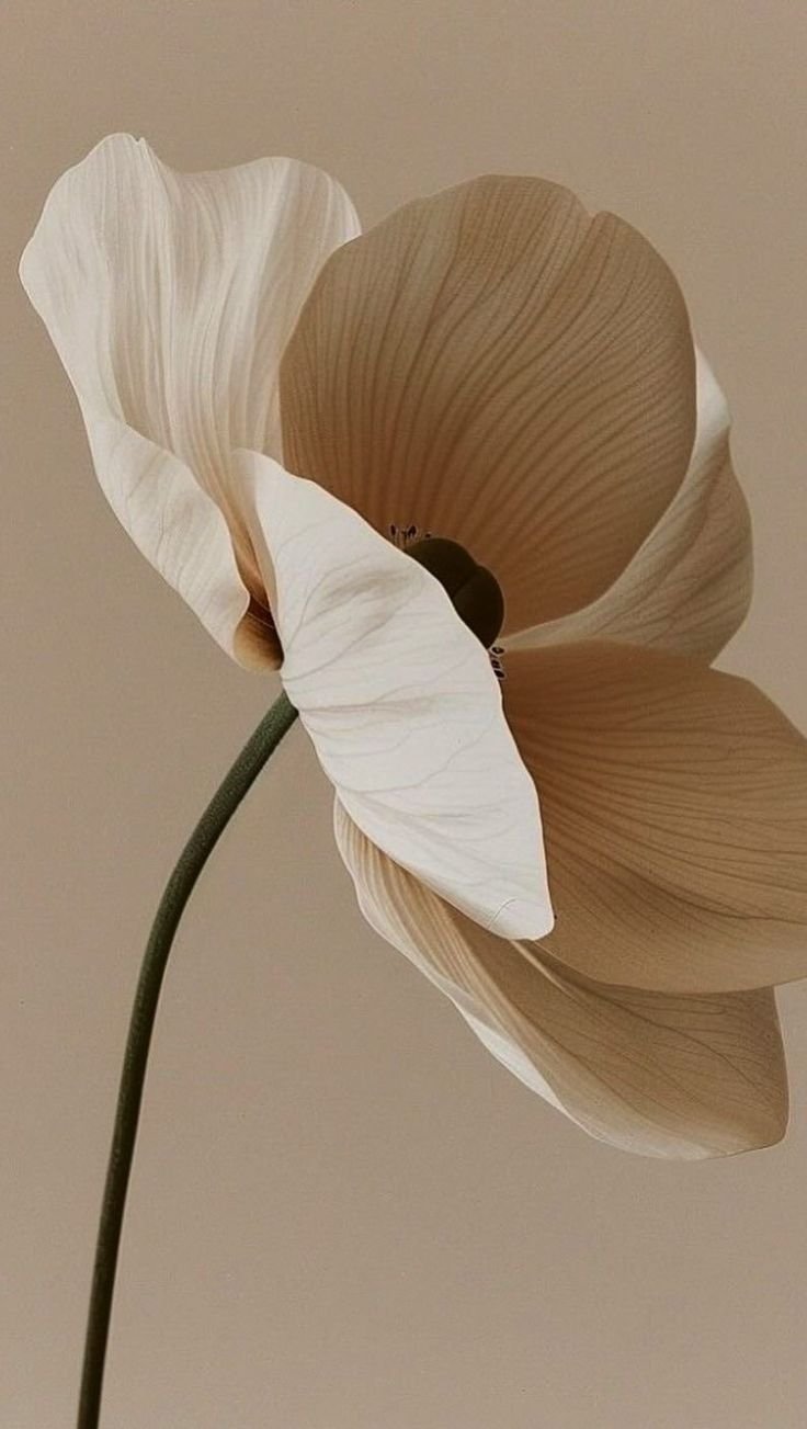 Une fleur artificielle aux pétales crème et marron, avec une tige verte.