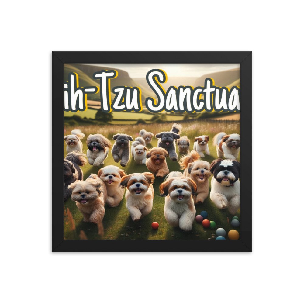 enhanced-matte-paper-framed-poster-(in)-black-12x12-transparent-65d3bc1ccb9f6.jpg
