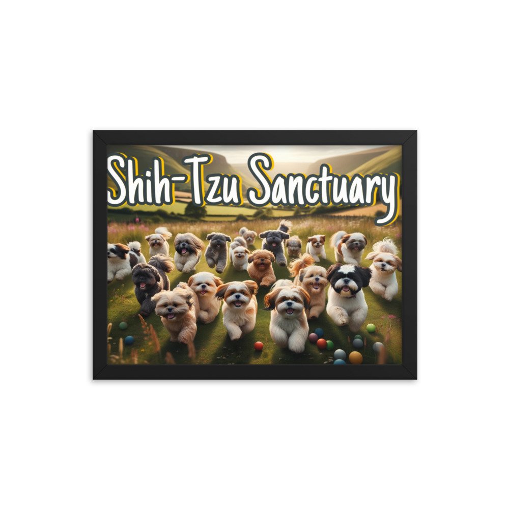 enhanced-matte-paper-framed-poster-(in)-black-12x16-transparent-65d3bc1ccbb03.jpg