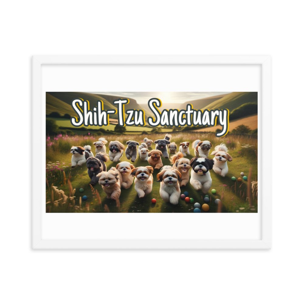 enhanced-matte-paper-framed-poster-(in)-white-16x20-transparent-65d3bc1cccf3d.jpg