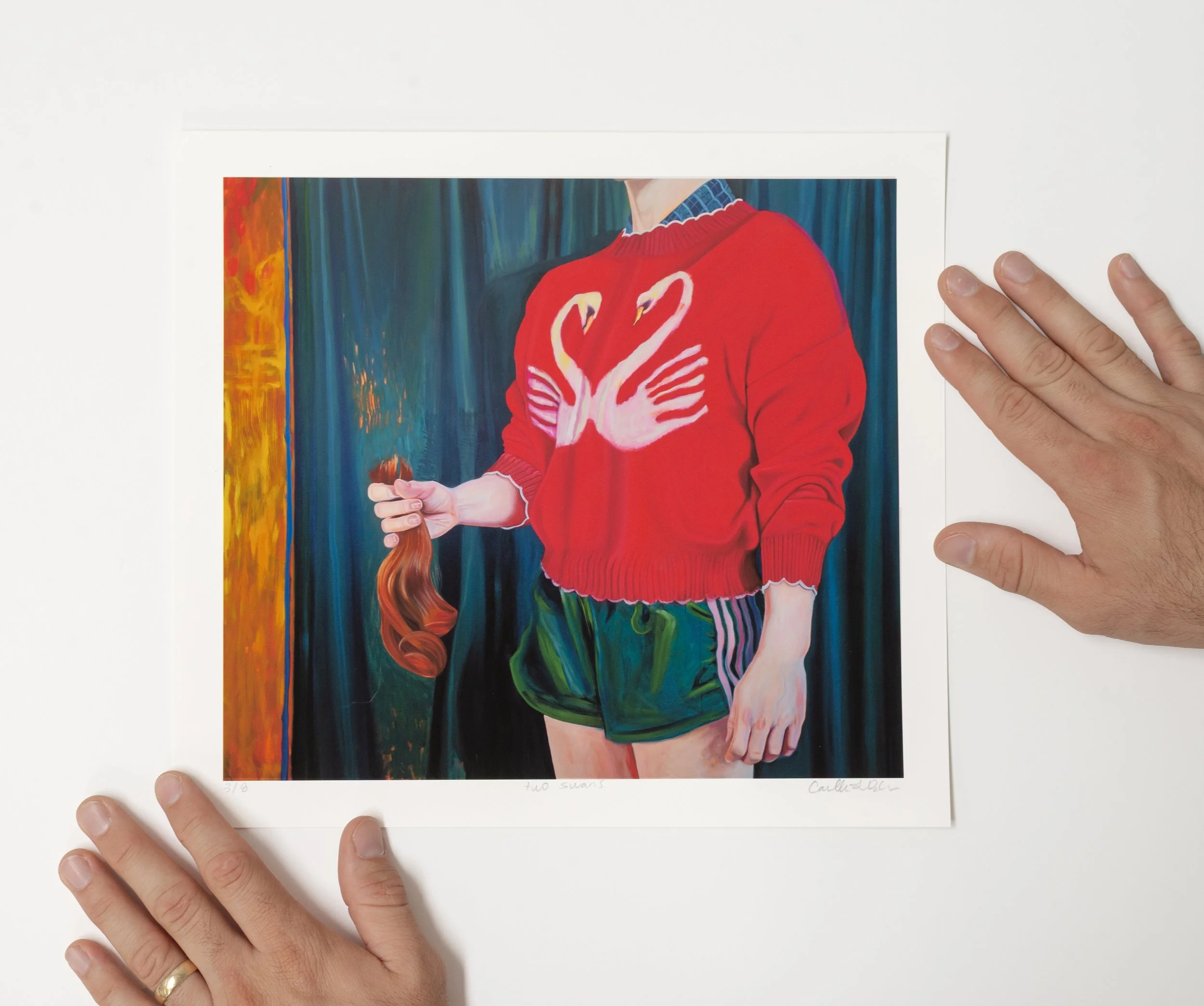 two swans Fine Art Print